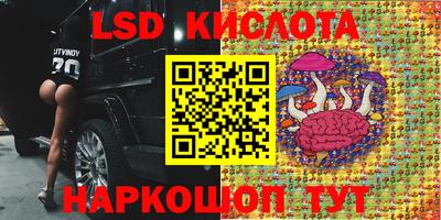 прущие грибы Лесосибирск