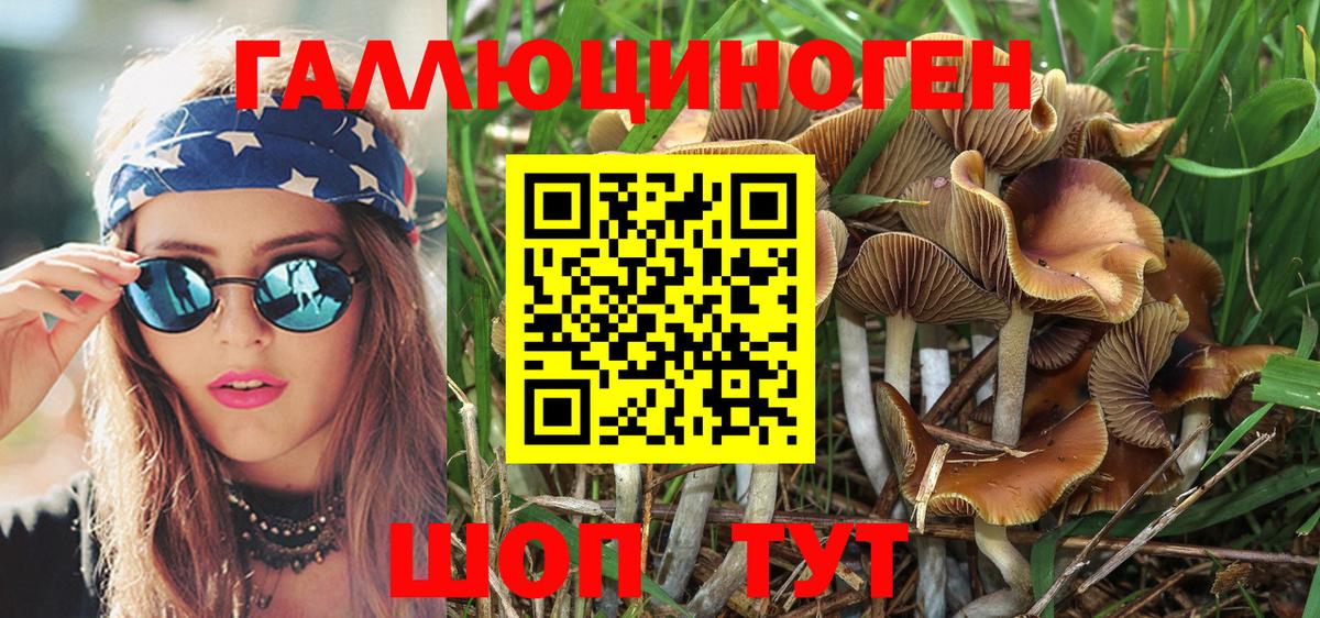 Псилоцибиновые грибы MAGIC MUSHROOMS Томск